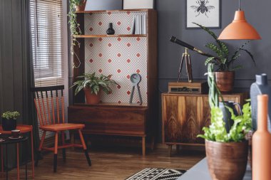 Turuncu ve siyah sandalye ahşap kabin bitki rustik salon iç ve yanındaki