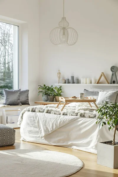 Lamp Boven Bed Met Bont Lichte Slaapkamer Interieur Met Planten — Stockfoto