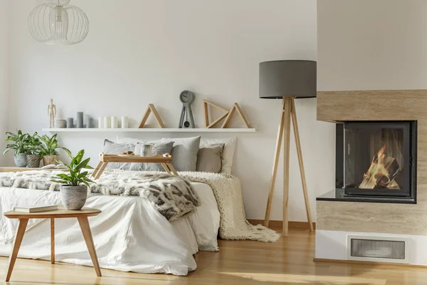 Planta Sobre Mesa Madera Lámpara Gris Cálido Interior Del Dormitorio — Foto de Stock