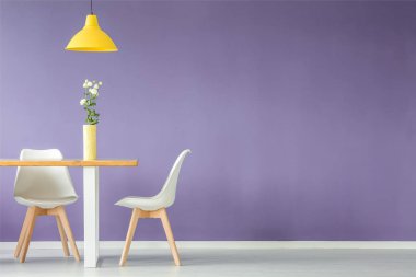 İki beyaz sandalye ile en az iç tablo çiçek vazo ve kopya alanı ile mor duvara sarı tavan lambası