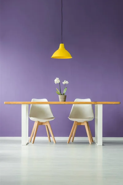 对称的 现代的 最小的风格内部与一张桌子后面的两个白色的椅子 一朵花在一个花盆和一个黄色的灯对紫色的墙壁的前视图 — 图库照片