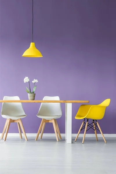 白色地板和紫色墙壁客厅内部用简单 对比的颜色椅子 桌与植物在罐子和垂悬的黄色灯 — 图库照片