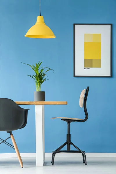 Black Chairs Table Green Plant Yellow Lamp Poster Blue Dining — Stock Photo, Image