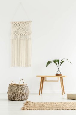 Sepet içinde beyaz boho iç bej renkli halı ile yanındaki ahşap masa üzerinde bitki