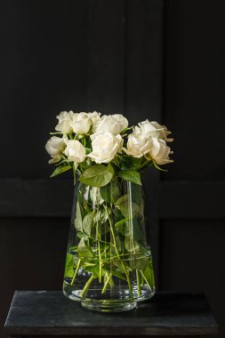 Siyah arka plan cam vazoda beyaz güller