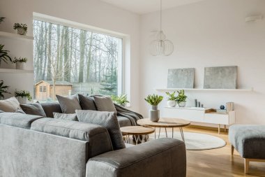 Modern oturma odası iç köşe kanepe pencerenin yanındaki ile bir raf üzerinde gri boyama