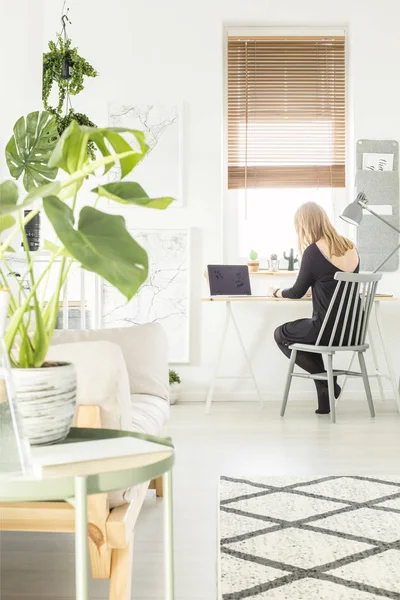 金发女郎坐在书房角落的书桌上 用台灯和笔记本电脑在白色起居室内设有地图海报和新鲜植物 — 图库照片