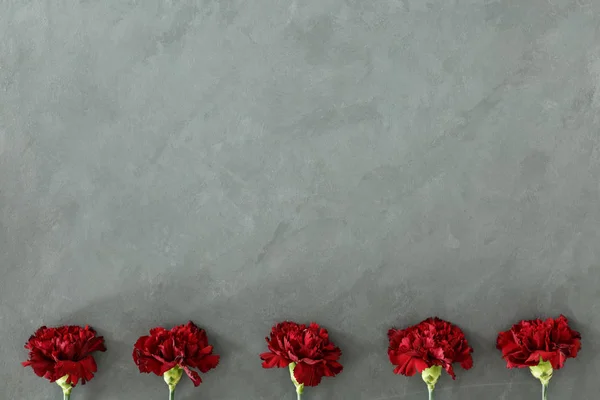Красные Цветы Сером Фоне Копировальным Пространством Концепция Женской Открытки — стоковое фото