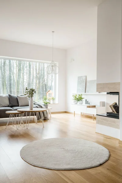 Tapis Rond Dans Appartement Spacieux Intérieur Avec Cheminée Canapé Gris — Photo