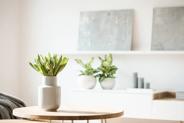 白い花瓶に生花が明るい部屋インテリア絵画 鉢植えの植物 背景をぼかした写真の棚の上のろうそくの小さなテーブルの上に配置 — ストック写真