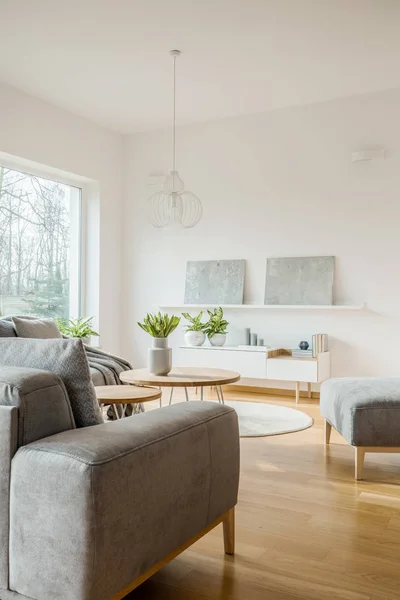 Graue Gemälde Weißer Wand Scandi Wohnzimmer Interieur Mit Sofa Und — Stockfoto