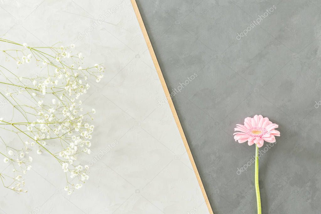 Pink and white flowers against grey background with space for your text