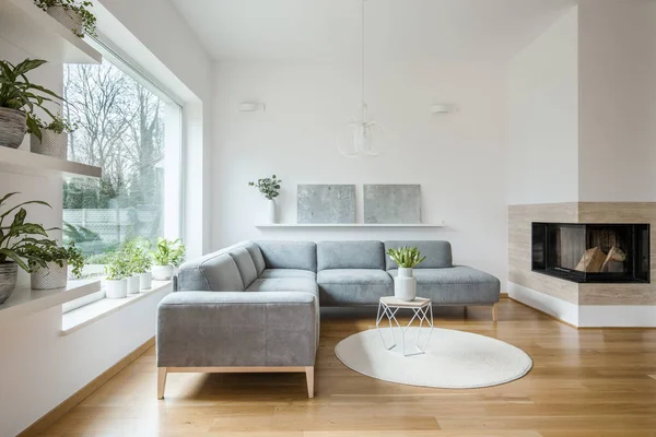 Graue Ecklounge Weißem Wohnzimmer Interieur Mit Zwei Gemälden Moderner Kunst — Stockfoto