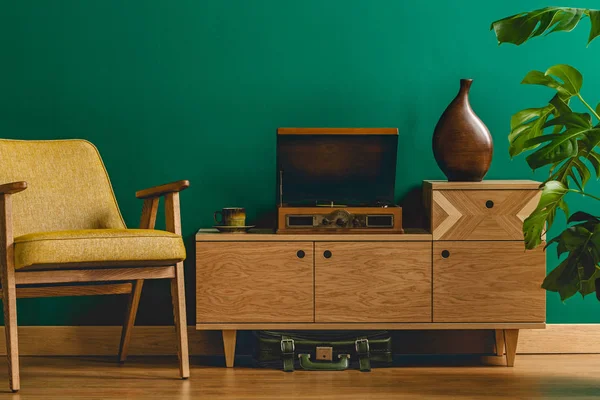 Rocznika Salon Wnętrza Gramofon Drewniane Szafy Krzesła Roślin Zielony Ściana — Zdjęcie stockowe