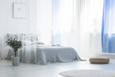 Kabarık ve bitki yakınındaki basit beyaz ve mavi yatak odası iç halı ile gölgelik yatakta. Gerçek fotoğraf