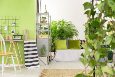 Şeritli çantayı yanındaki masa ve sandalye yatak yastık ile yeşil açık alan iç. Gerçek fotoğraf