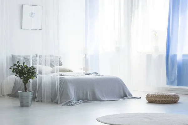 Pouf Dan Tanaman Dekat Kanopi Tempat Tidur Sederhana Putih Dan — Stok Foto