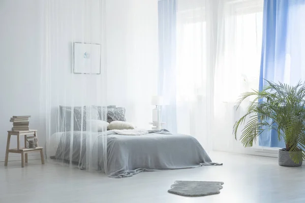 Fur and plant near canopy bed in white and blue bedroom interior with lamp and poster. Real photo