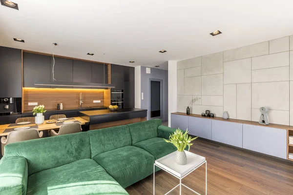 Zielony Aksamitnej Kanapie Umieszczone Otwartej Przestrzeni Salon Kuchnia Wnętrz Świeżych — Zdjęcie stockowe