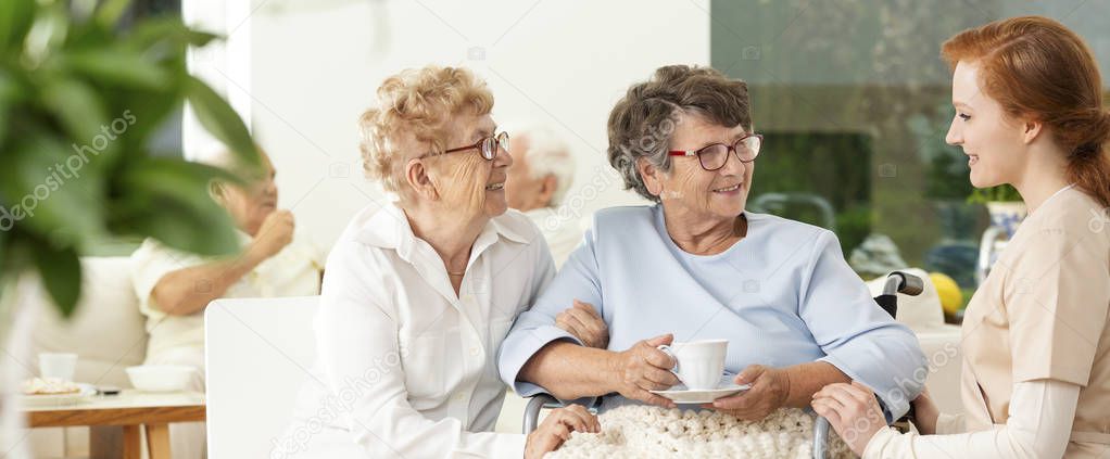 An old friend visiting an elderly woman in a wheelchair in a luxury nursing home. Professional caretaker assisting. Panorama.