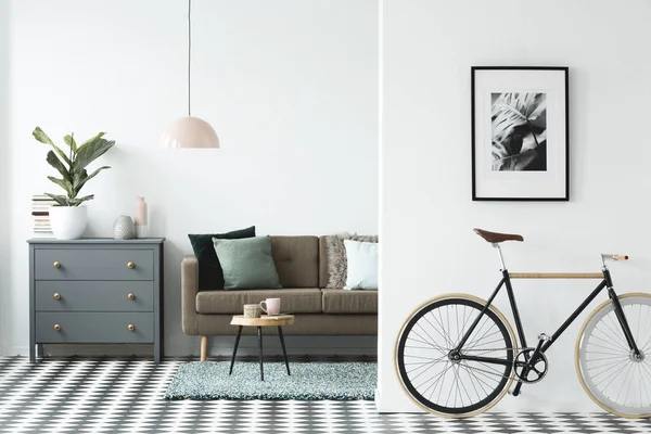 Bike and poster on the wall in a modern living room interior with a chest of drawers, plant and sofa in the background