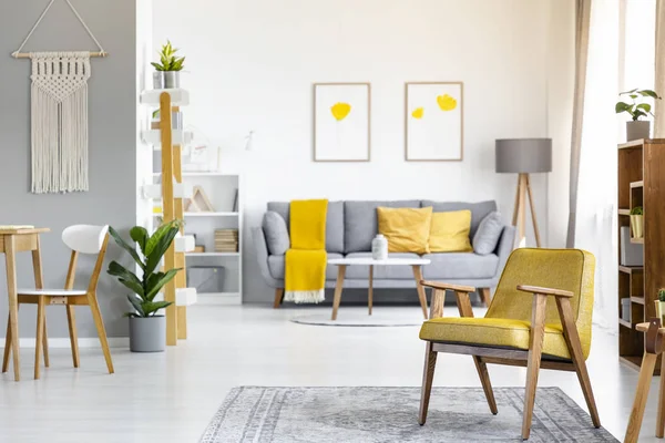 黄色扶手椅在地毯附近植物在开放空间内部与海报在灰色沙发之上 背景模糊的真实照片 — 图库照片