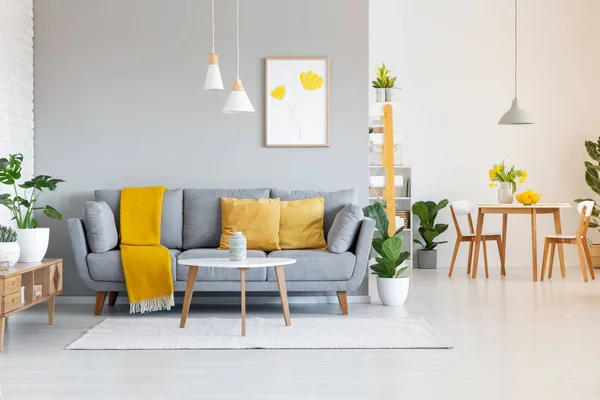 Coperta Arancione Divano Grigio Moderno Appartamento Interno Con Poster Tavolo — Foto Stock