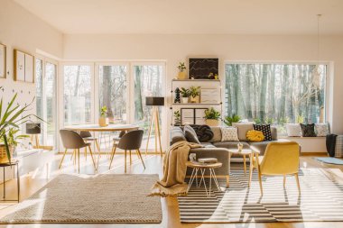 Açık alan iç pencere yakınındaki yemek masası ile çizgili halı sarı koltuğu