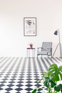 Poster, lamba ve bitki ile geniş dama tahtası iç tablosunun yanındaki gri tekli