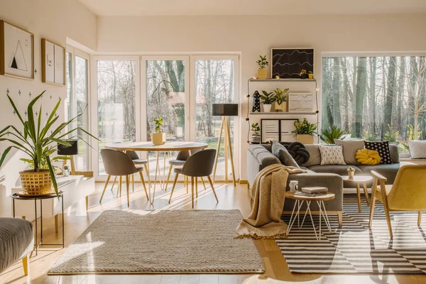 Chairs Dining Table Modern Bright Open Space Interior Beige Carpet — Stock Photo, Image