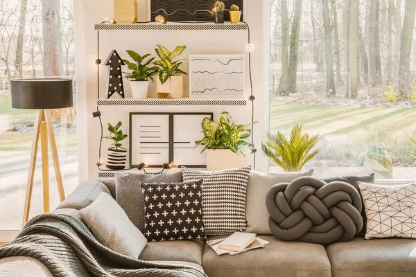 Patterned Pillows Grey Couch Living Room Interior Plants Shelves Window — Stock Photo, Image