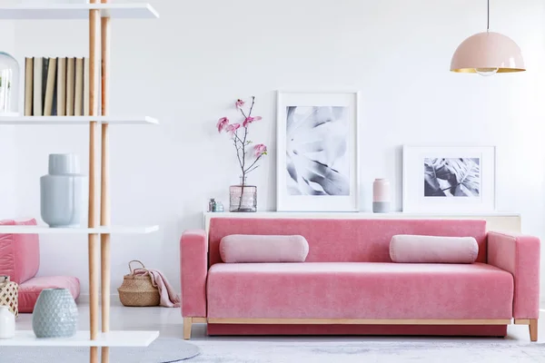 真正的照片 一个粉红色的沙发与枕头在一个架子前面有海报和鲜花在明亮的客厅内部与挂灯和书架与书籍在前面 — 图库照片