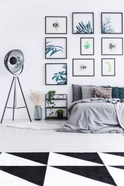 Bir yatak ayakta bitki ve bir yatak odası iç siyah beyaz halı ve duvar posterleriyle dolu siyah bir ampul ile bir raf yanında gerçek fotoğraf