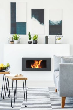 Posterler ve bitkiler şömine masa ve gri kanepe oturma odası iç yukarıda. Gerçek fotoğraf