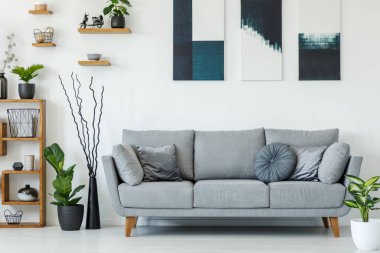 Bitkiler ve süs eşyaları ile ahşap raflar ve salon iç boya ile duvar yanında duran yastıklar gri bir kanepeyle gerçek fotoğraf
