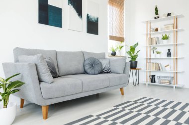 Minderler gri koltuk ve halı en az oturma odası iç bitki ve posterler. Gerçek fotoğraf