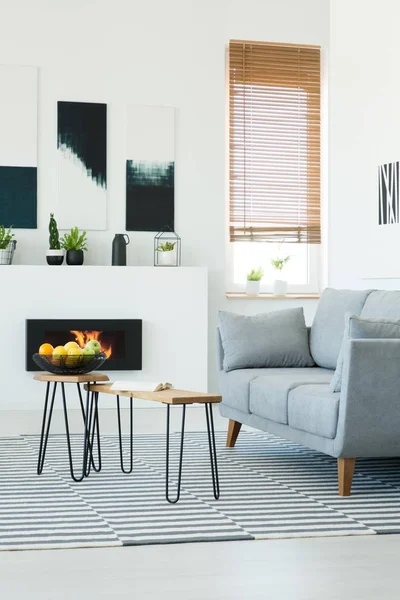 Tisch Neben Grauer Couch Weißem Wohnzimmerinnenraum Mit Postern Über Dem — Stockfoto