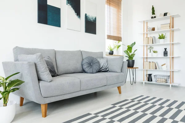 Kissen Auf Grauer Couch Und Teppich Minimalistischem Wohnzimmerinterieur Mit Pflanzen — Stockfoto