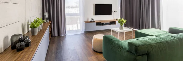 Living room interior with a green corner sofa, cabinet with plants and glass decorations, pouf, coffee table and tv