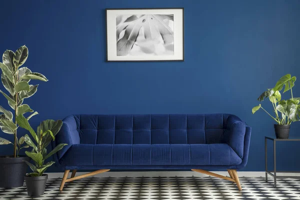豪华的深蓝色长毛绒沙发 四周是绿色的植物站在一个棋盘地板上的客厅内部 挂在黑暗的墙上的框架海报 真实照片 — 图库照片
