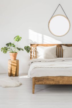 Monstera bitki bir ağaç gövde komidin ve yatağa güneşli yatak odası iç ahşap mobilya ile beyaz bir duvar üzerinde yuvarlak ayna