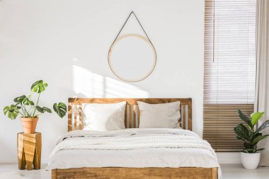 Doğal, ahşap mobilya ile iç ve güzel minimalist bir yatak odasında bir yuvarlak ayna ile beyaz bir duvar parlayan güneş yeşil bitkiler