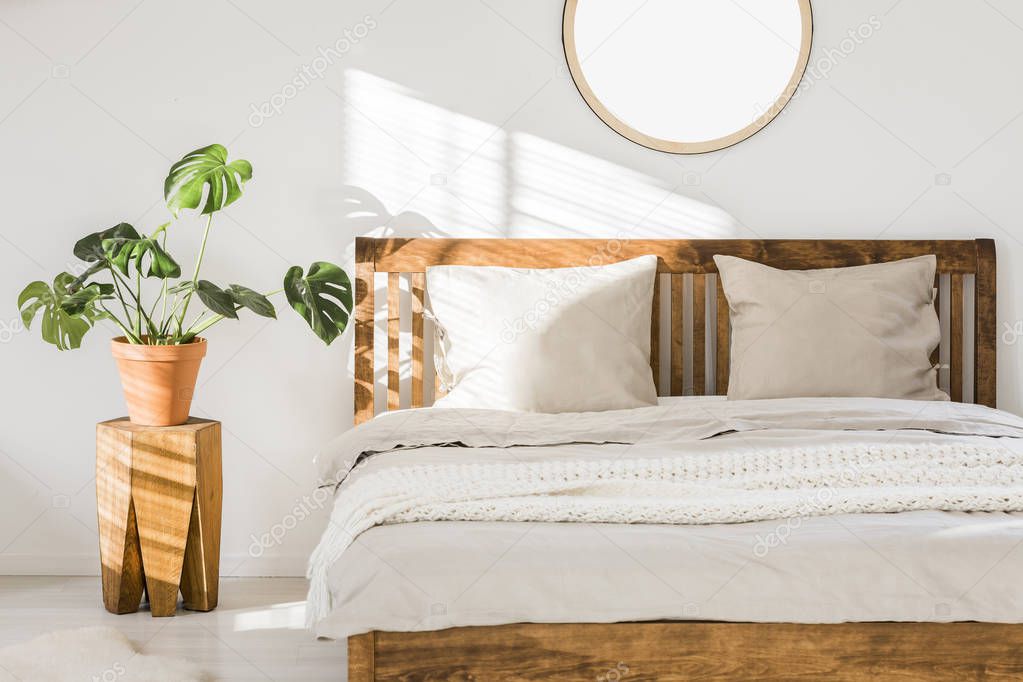 Wooden double bed with white pillows, sheets and knit blanket standing in bright bedroom interior with fresh plant on bedside table and round mirror on the wall