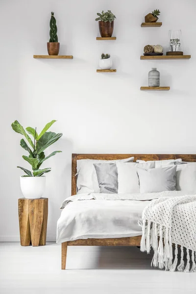 Heldere Botanic Slaapkamer Interieur Met Houten Meubelen Gezellige Lakens Kussens — Stockfoto