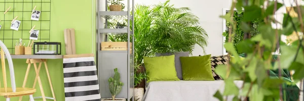Ev ofis masası, çizgili malzeme sepeti, gri metal raf ve taze bitkilerin yeşil salon iç