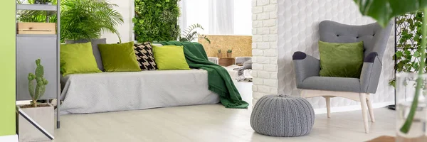 Open space flat interior with grey sofa with cushions, fresh plants and armchair with pillow and footrest