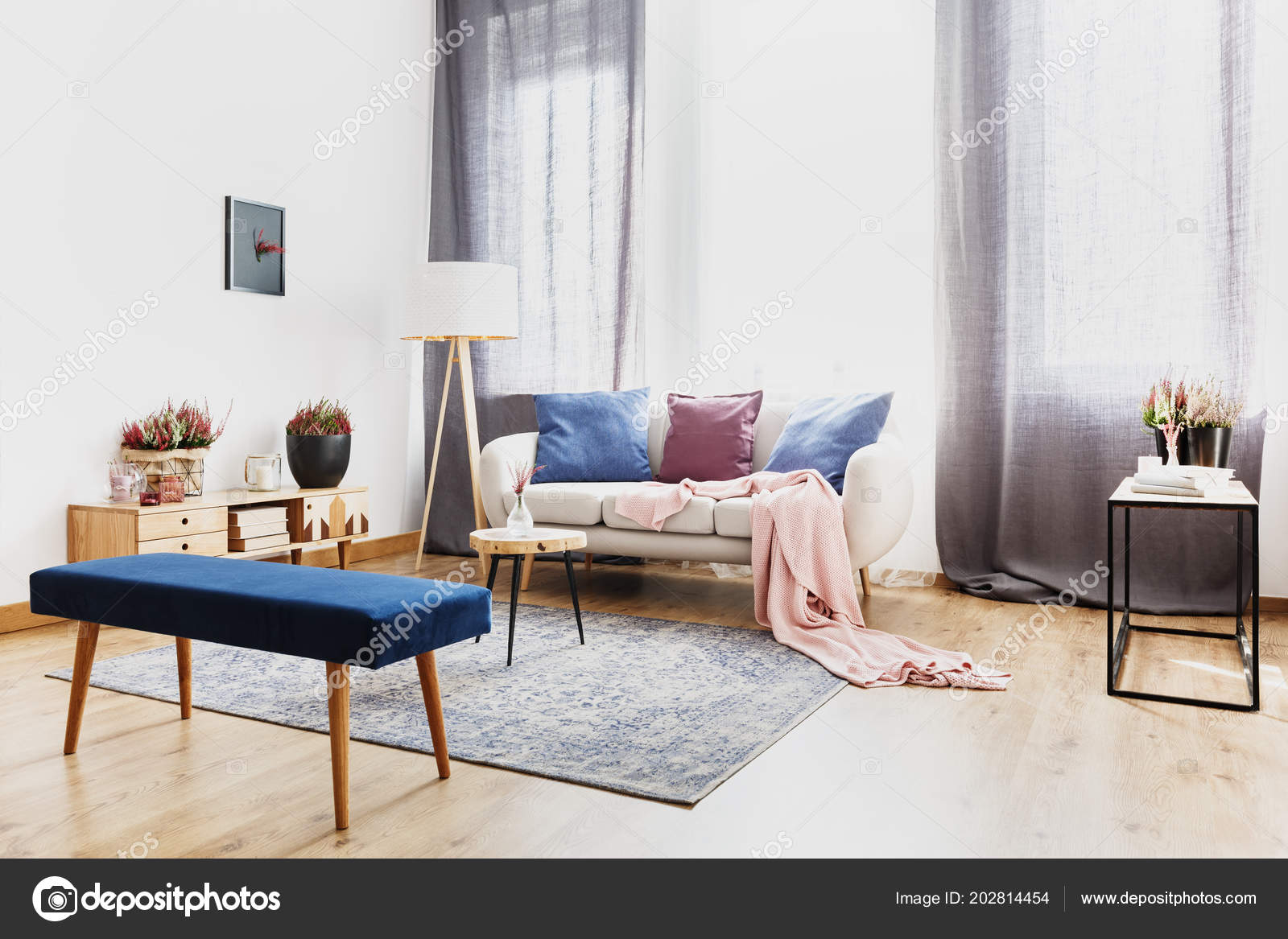 Blue Bench Modern Living Room Interior Pink Blanket Settee Window Stock Photo