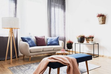 Pembe battaniye aydınlık oturma odası iç bej kanepe, beyaz lamba ve duvara heathers mavi bankta