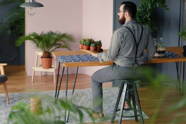 Bitkiler ile modern iç succulents plakalı holding sakallı hippi