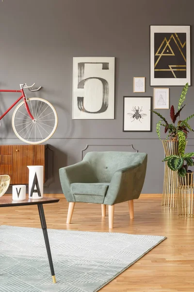 Interior Habitación Vintage Con Cómodo Sillón Verde Bicicleta Roja Plantas —  Fotos de Stock